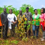 Cassava Seed Entrepreneurs Workshop Aims to Boost Agricultural Productivity in Niger Delta