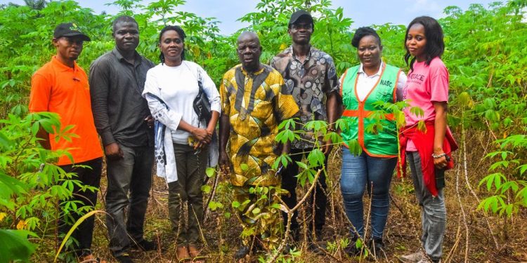 Cassava Seed Entrepreneurs Workshop Aims to Boost Agricultural Productivity in Niger Delta