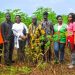 Cassava Seed Entrepreneurs Workshop Aims to Boost Agricultural Productivity in Niger Delta