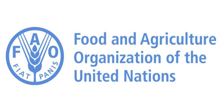 Call For Applications: FAO Internship Program (Food and Agriculture Organization Internship) For Students Worldwide