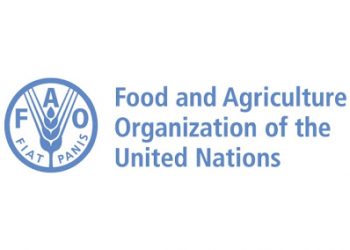 Call For Applications: UN FAO Regular Volunteer Program for Africa (RAF) 2025