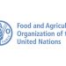 Call For Applications: UN FAO Regular Volunteer Program for Africa (RAF) 2025