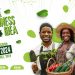 Call For Applications: Agroye My 500K Agribusiness Idea ( Up to 1 million Naira Grant Prize)