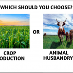 Crop Production Or Animal Husbandry