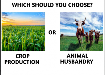 Crop Production Or Animal Husbandry