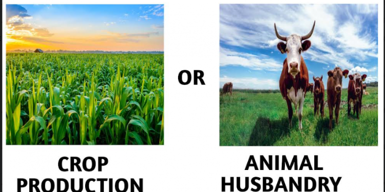 Crop Production Or Animal Husbandry