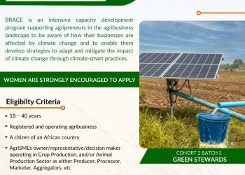 Call For Applications: BRACE Program Cohorts 2 Batch 3 For Agribusinesses Operating in Africa
