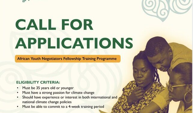 Call For Applications: Green Africa Youth Organization (GAYO) African Youth Negotiators Fellowship Program 2024