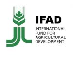 IFAD Launches Rice and Cassava Processing Training Program For Women in Niger State