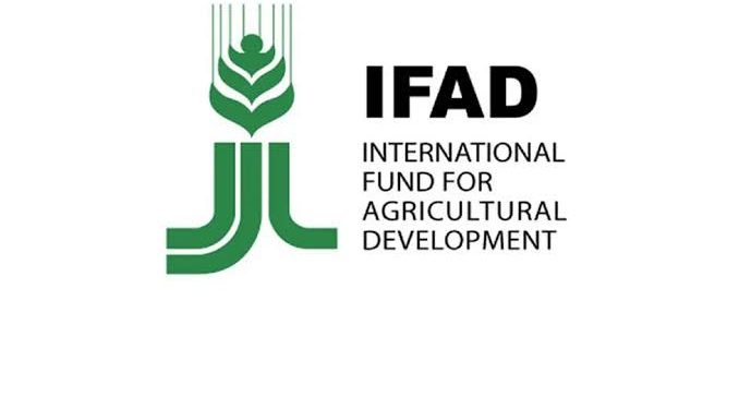 IFAD Launches Rice and Cassava Processing Training Program For Women in Niger State