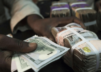 Nigerian Foreign Exchange Market Sees 33.88% Surge as Naira Depreciates