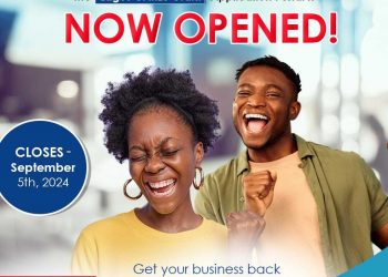 Call For Applications: Lagos CARES Grant For MSMEs in Lagos