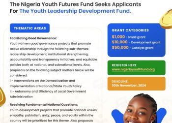 Call For Application: NYFF Youth Leadership Development Fund 2025 Grant Cycle ( Up to $50,000 Grant)