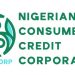 Nigerian Government Set to Launch New Initiative to Provide Credit Support to 400,000 Youth in July 2025