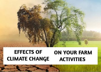 Effect of Climate Change on Your Farm Activities