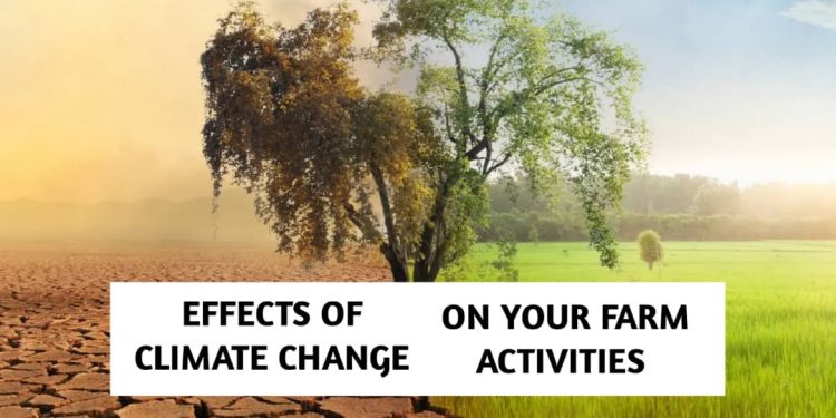 Effect of Climate Change on Your Farm Activities