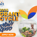 Call For Applications: ACT Foundation 2025 Grant Cycle for Organizations in Africa