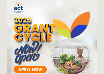Call For Applications: ACT Foundation 2025 Grant Cycle for Organizations in Africa