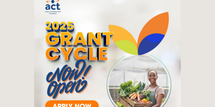 Call For Applications: ACT Foundation 2025 Grant Cycle for Organizations in Africa