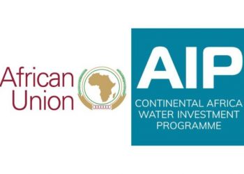 Call For Applications: African Union AIP Youth Fellowship and Mentorship 2024 (€6000 Stipend with Certification)