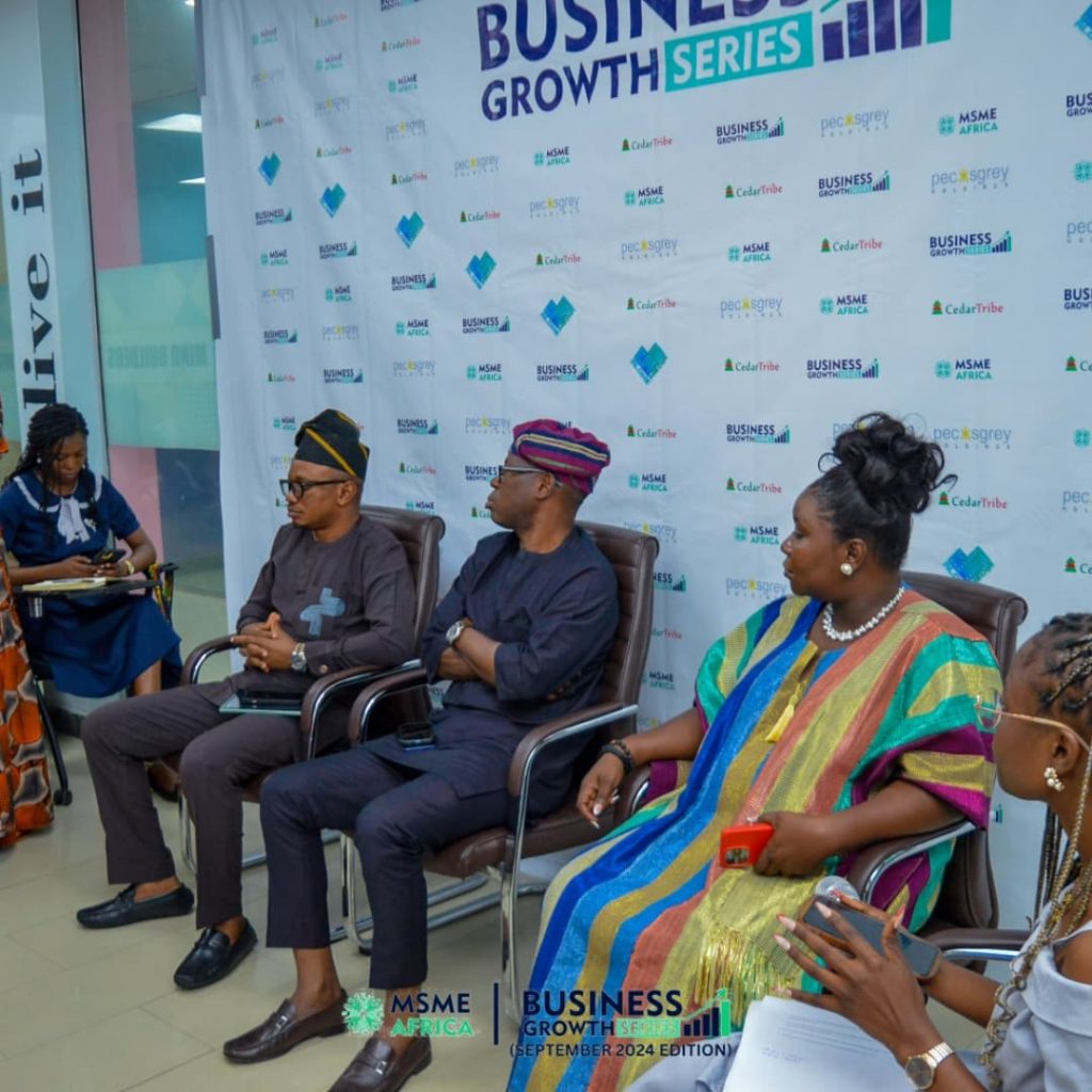 Experts Proffer Solutions to Business Challenges at MSME Africa’s Business Growth Series