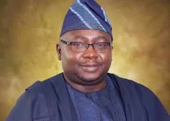 Minister of Power: High Fuel Costs Necessitate N750 per Kwh for Private Electricity Generation