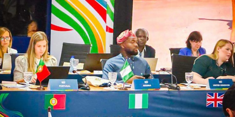 Nigeria Unveils $2 Billion Plan to Expand Fibre Optic Network and Boost Digital Economy