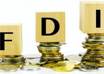 Nigeria's Foreign Direct Investment Plummets to Record Low in Q2 2024