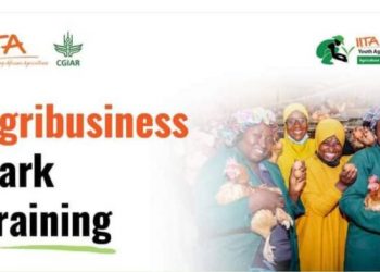 Call For Applications: IITA Agribusiness Training Program 2024 For Nigerians
