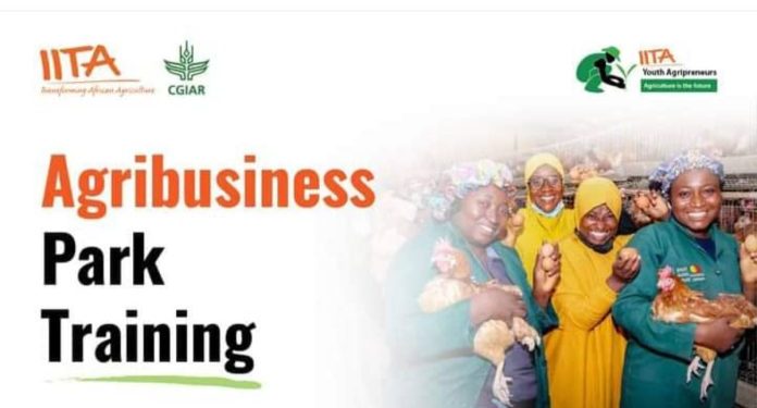 Call For Applications: IITA Agribusiness Training Program 2024 For Nigerians