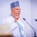 Vice President Shettima Praises DBN for N787bn Loan Granted for MSME Growth