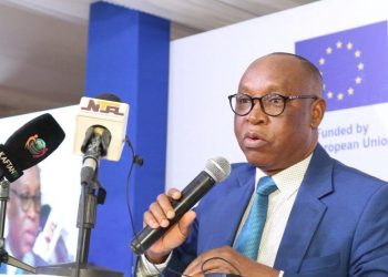 Nigeria’s Solid Minerals Sector Contributes Over N1 Trillion to Government Revenue, NEITI Reports