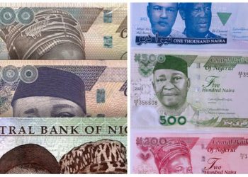 CBN Clarifies Naira Notes Policy Amid Calls for Old Notes Phase-Out by December 31, 2024