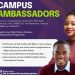 Call For Applications: Safe Online Campus Ambassadors Program 2024-2025