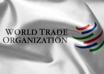Call For Applications: 2024 World Trade Organization Internship Program