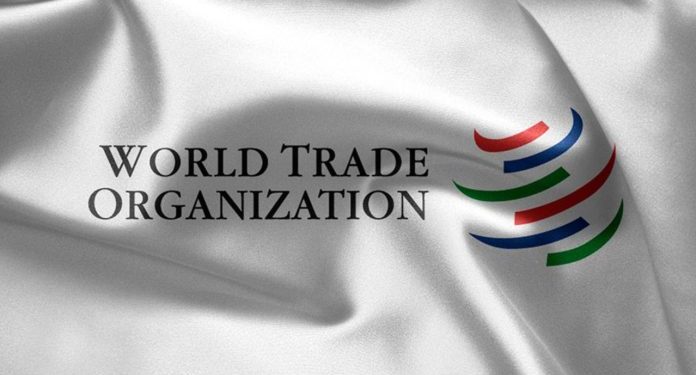 Call For Applications: 2024 World Trade Organization Internship Program
