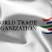Call For Applications: 2024 World Trade Organization Internship Program
