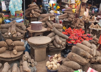 Nigeria’s Inflation Rate Jumps to 34.60% in November 2024, Food Prices Soar