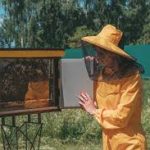 Challenges of Beekeeping: A Path to Sustainable Solutions