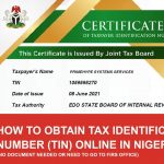 How to Get a Taxpayer Identification Number (TIN) in Nigeria: A Guide for MSMEs and Individuals