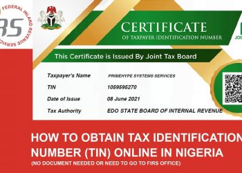 How to Get a Taxpayer Identification Number (TIN) in Nigeria: A Guide for MSMEs and Individuals