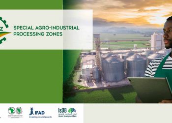 African Development Bank and partners agree to fast-track implementation of Special Agro Industrial Processing Zones program