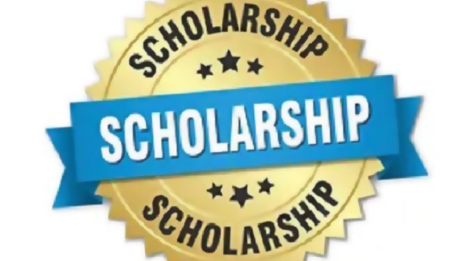 Call For Applications: Federal Government NCPWD Undergraduate Scholarship 2024 For Nigerians
