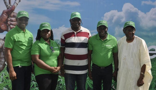 Agbeyewa Farms Set to Transform Nigeria’s Cassava Value Chain for Economic Growth and Job Opportunities