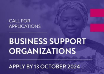 Call for Applications: WTO-ITC Women Exporters in the Digital Economy (WEIDE) Fund for Business Support Organizations (BSOs).