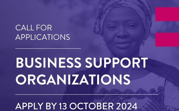 Call for Applications: WTO-ITC Women Exporters in the Digital Economy (WEIDE) Fund for Business Support Organizations (BSOs).