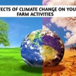 Effect of Climate Change on Your Farm Activities (2)