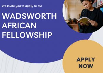 Call For Applications: Wadsworth African Fellowship Program ( Annual stipend of $20,000)