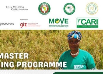Call For Applications: Rice Master Training Program (RMTP) 2025