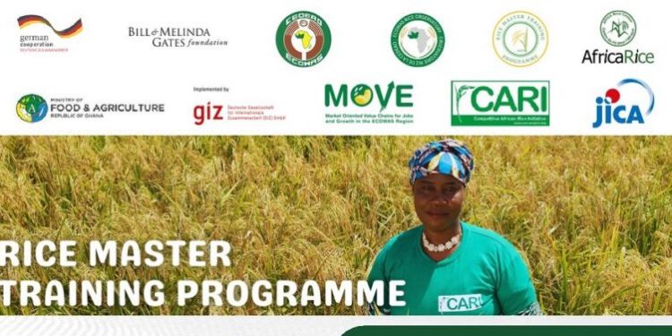 Call For Applications: Rice Master Training Program (RMTP) 2025